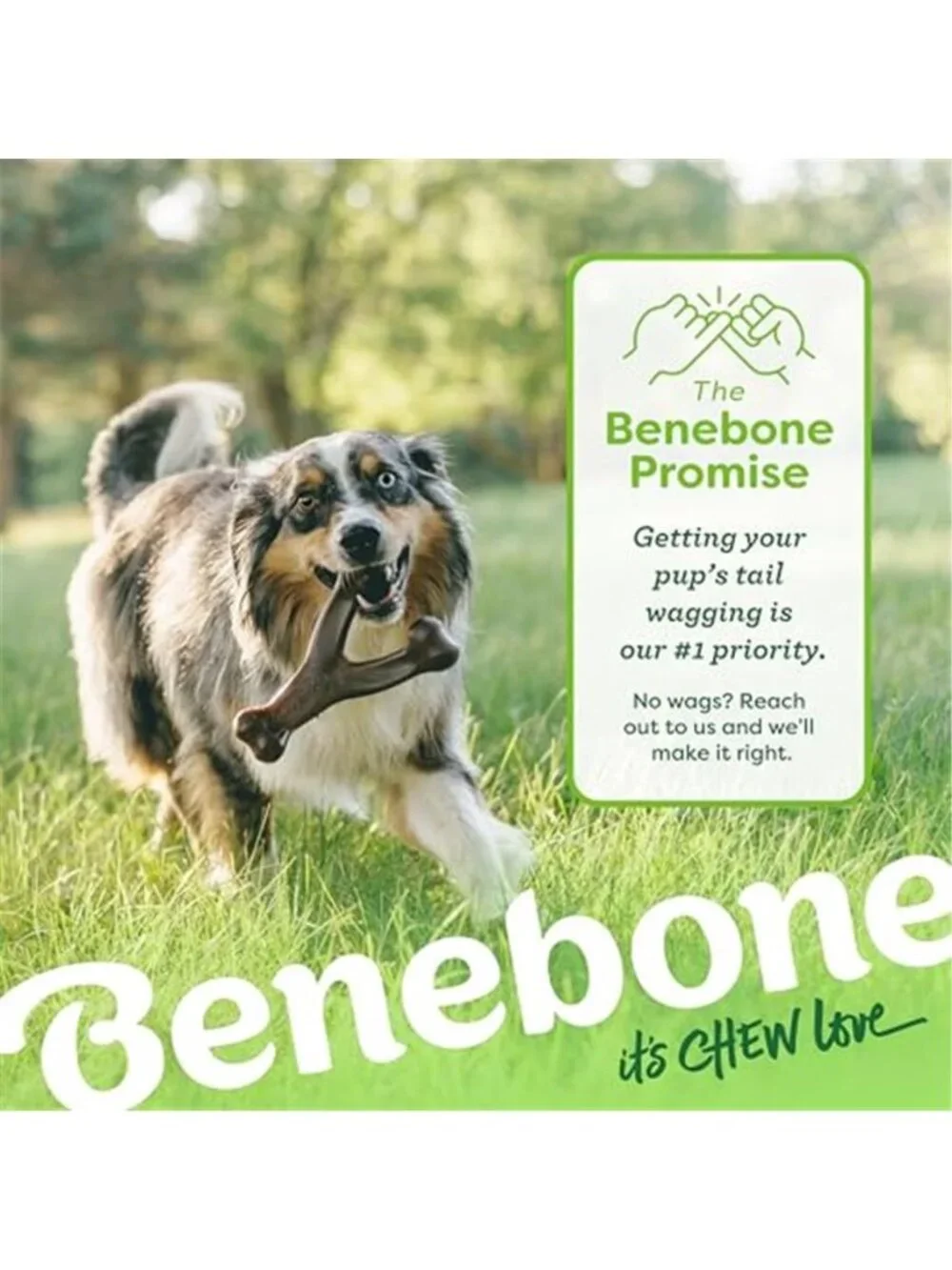 Benebone Wishbone Durable Dog Chew Toy for Aggressive Chewers